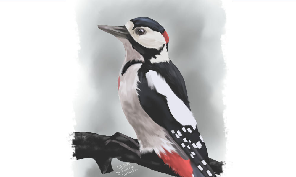 Náhledový obrázek projektu