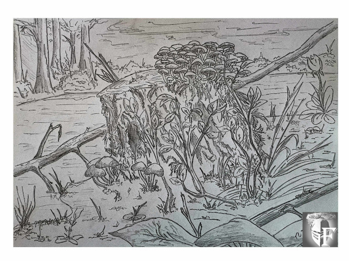 Náhledový obrázek projektu